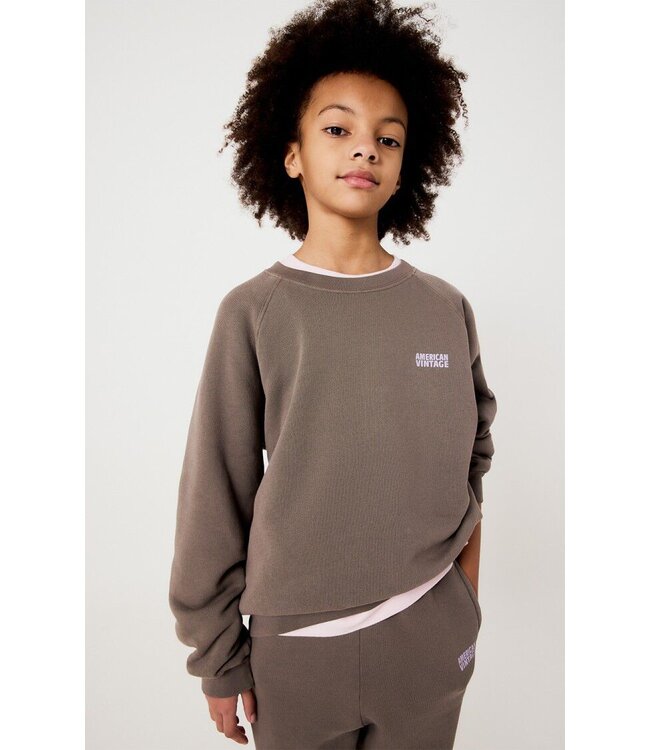 Izubird Sweater CENDRE VINTAGE