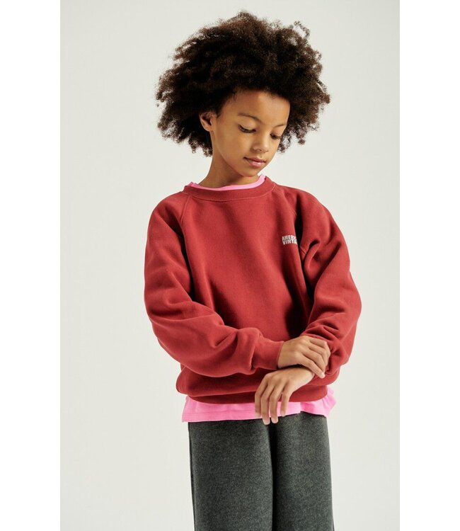 Izubird Sweat Ml Col Rond Cerise Vintage