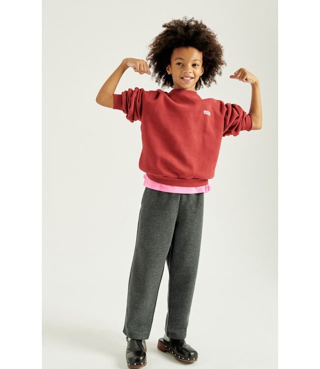 Izubird Sweat Ml Col Rond Cerise Vintage