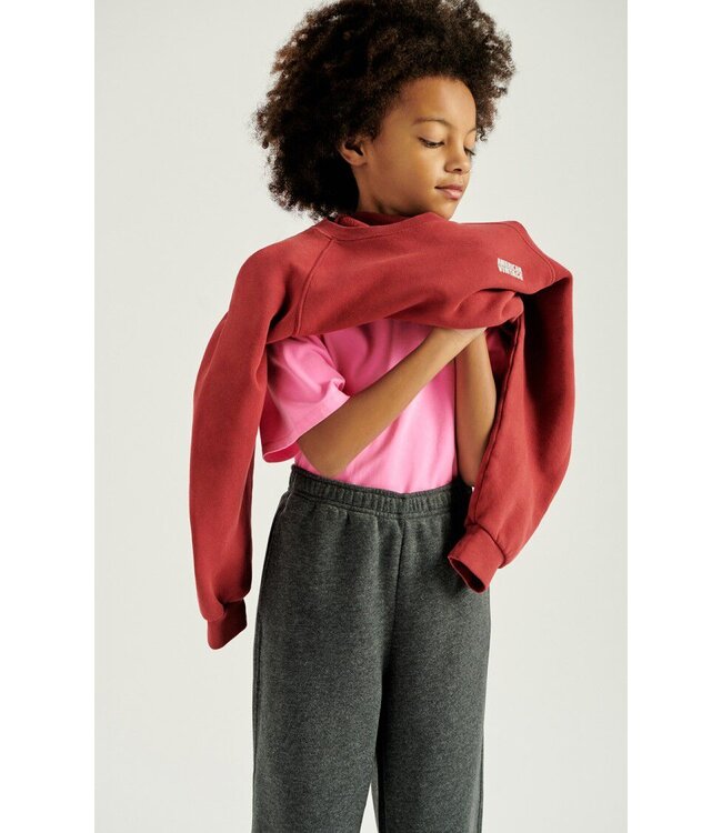 Izubird Sweat Ml Col Rond Cerise Vintage