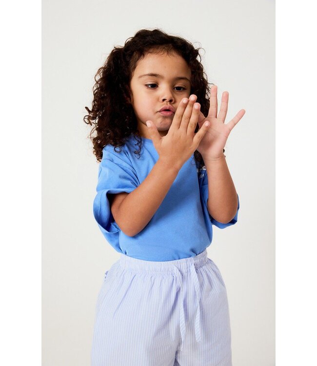 Fizvalley t-shirt CELESTE VINTAGE