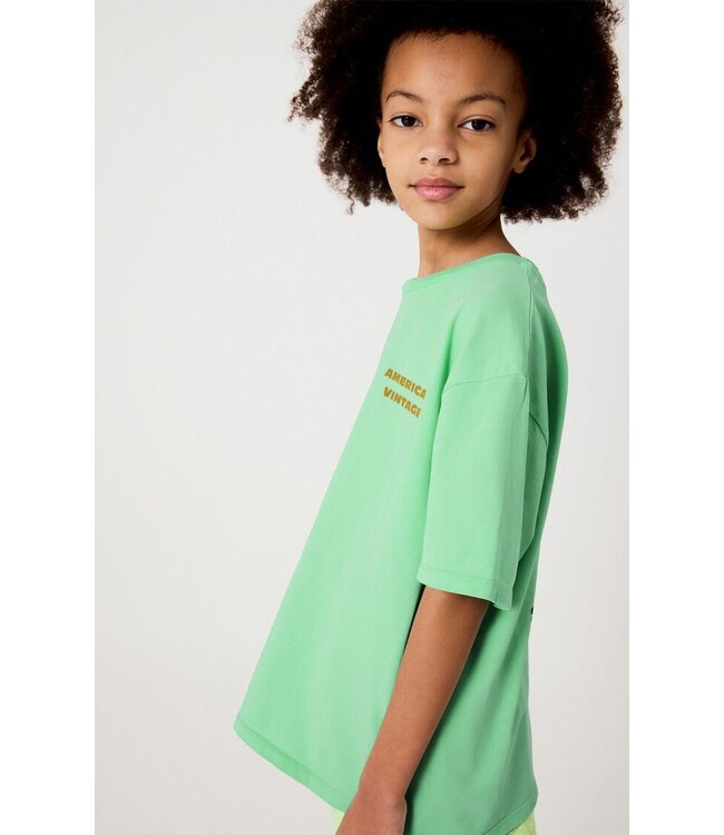 Fizvalley t-shirt AMANDIER VINTAGE