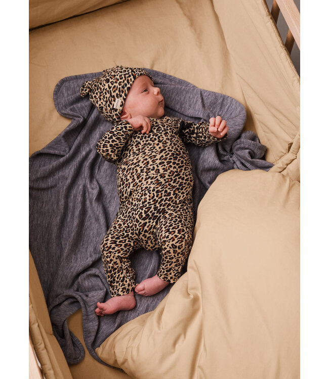 Leopard Belita Brown body