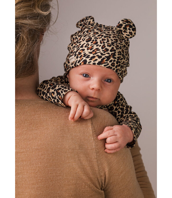 Leopard Belita Brown body