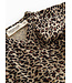 Leopard Belita Brown body