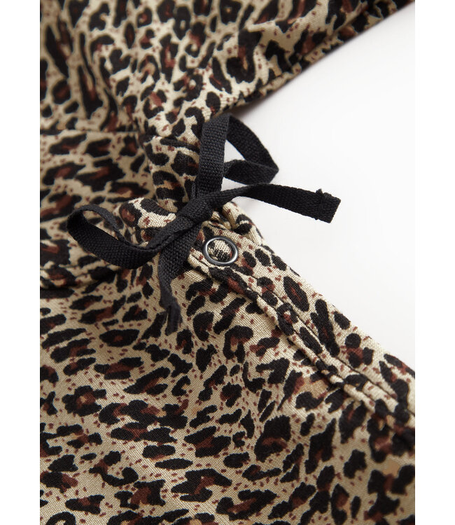 Leopard Belita Brown body