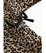 Leopard Belita Brown body