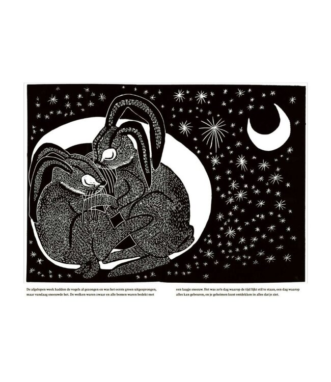 Boek - Jij bent mijn begin