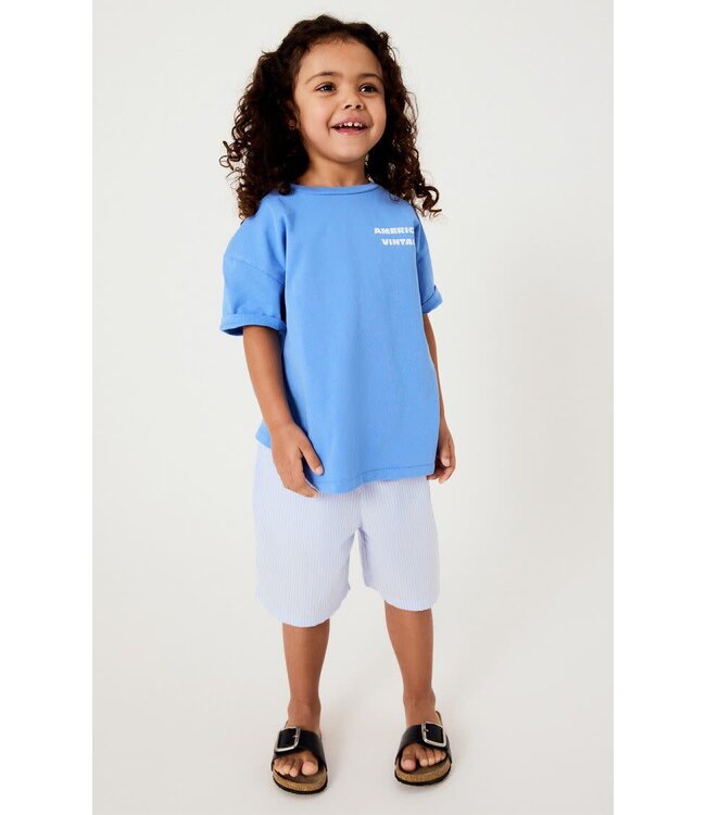 SHORTS blue stripes