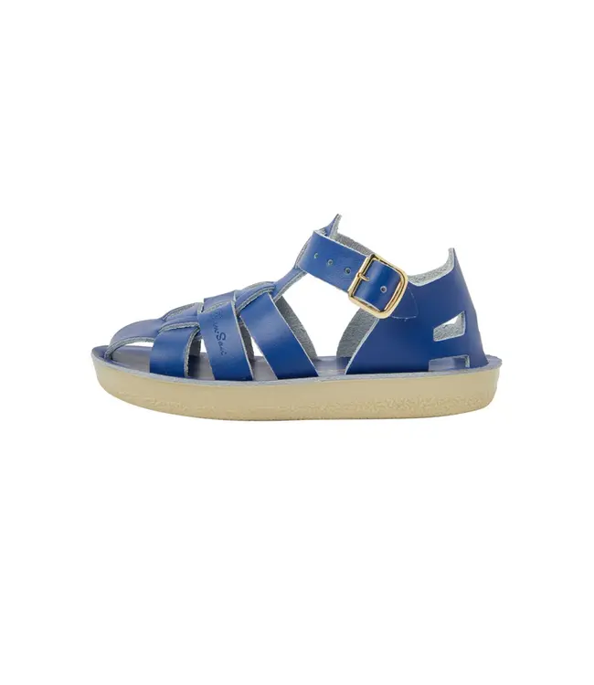 salt water shark cobalt