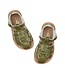 salt waters shark olive