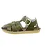 salt waters shark olive