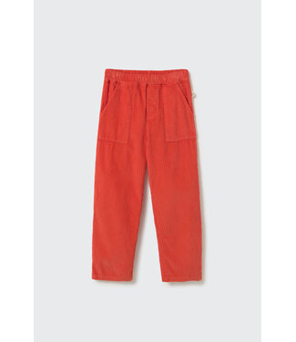 Cozmo Wide wale corduroy pants