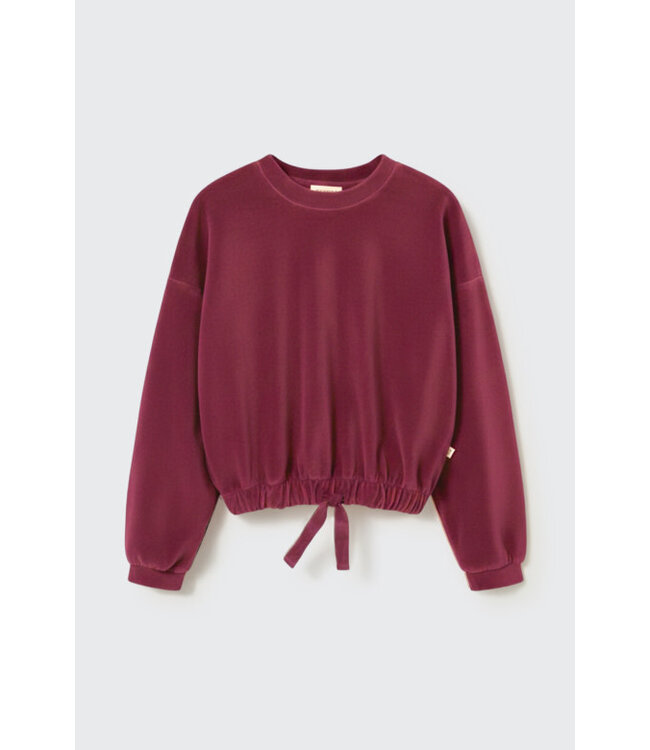 Velour knit bow sweatshirt