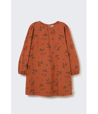Cozmo Cross stitch floral flannel dress
