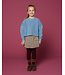 Cargo Ballon Skirt | Check Beige/Blue