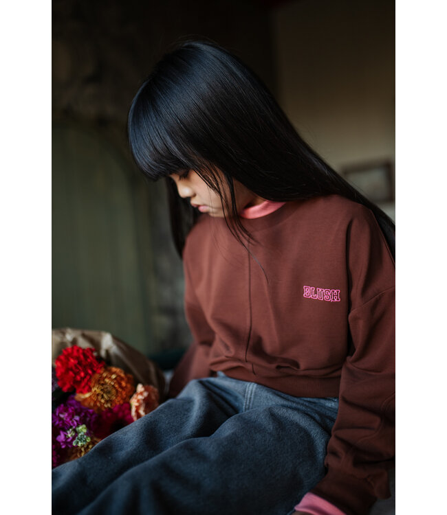 Luca Sweater | Brown