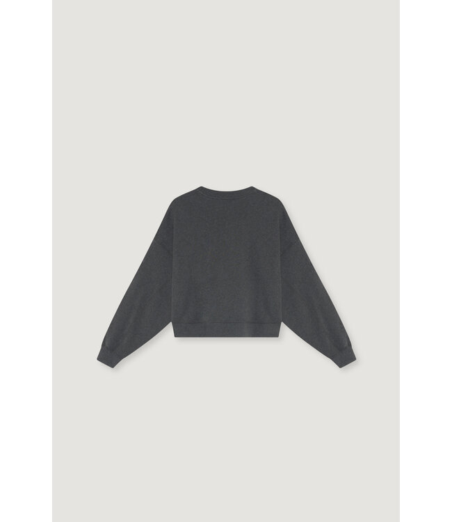 TNS Logo Sweatshirt Dark Grey Melange