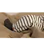 Nixnut Bab pants | Whale Stripe
