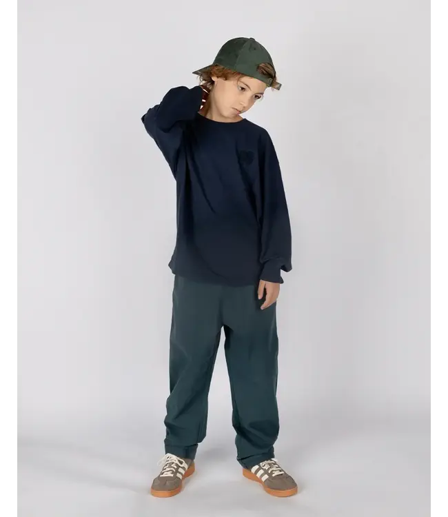 Nixnut Sol chino | Whale