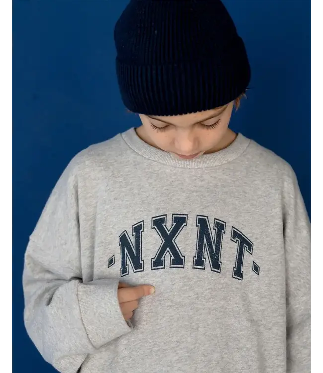 Nixnut Logo sweater | Grey