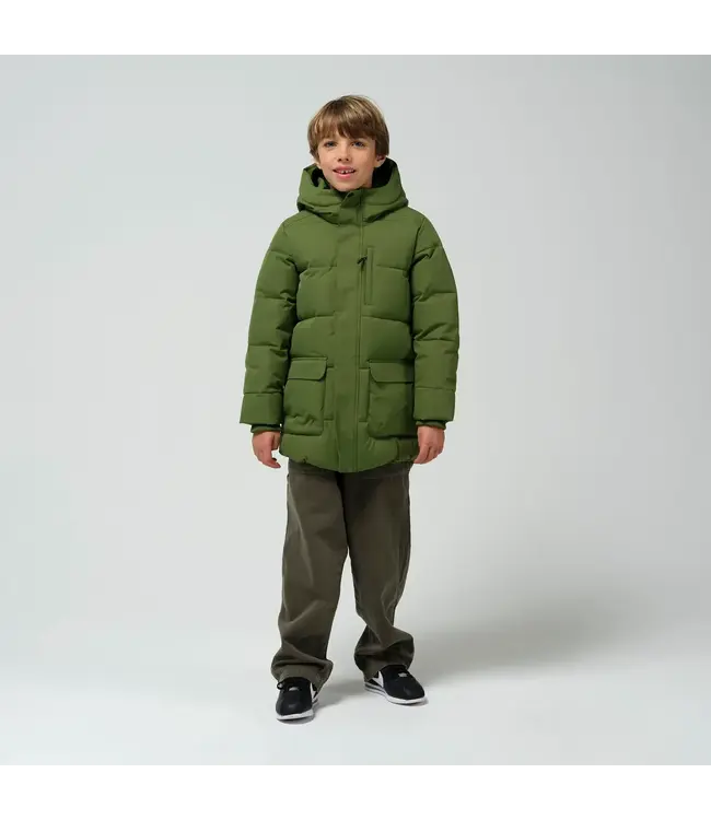 TIGER EYE | pesto green