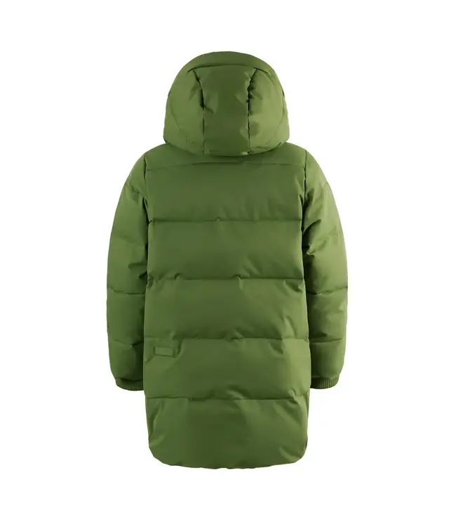 TIGER EYE | pesto green