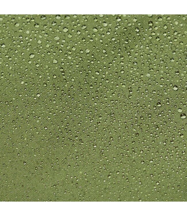 TIGER EYE | pesto green