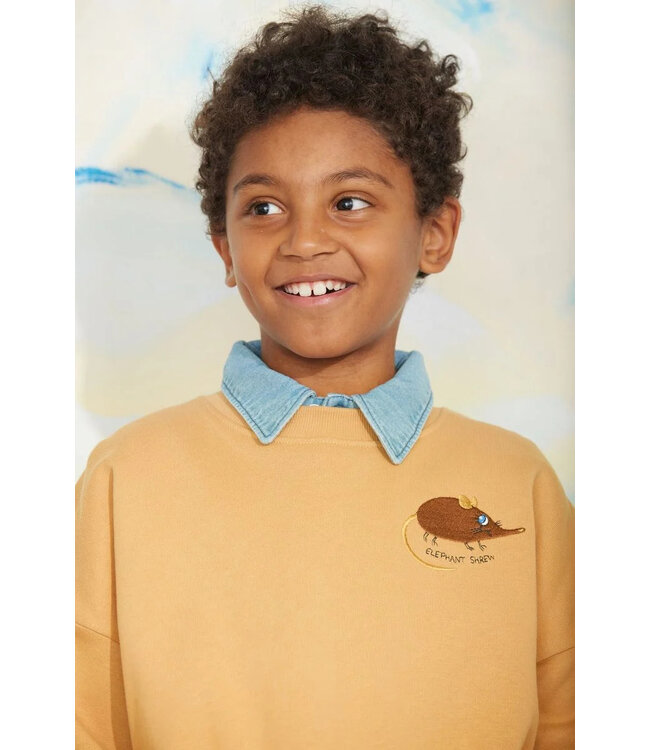Mini Rodini Elephant shrew emb sweatshirt | Beige