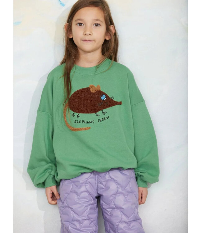 Mini Rodini Elephant shrew chenille sweatshirt | Green