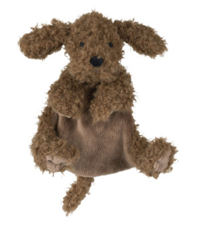 Labradoodle Larry tuttle