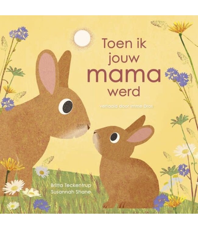 Boek - Toen ik jouw mama werd
