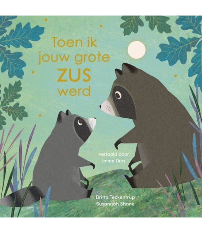 Boek - Toen ik jouw grote zus werd