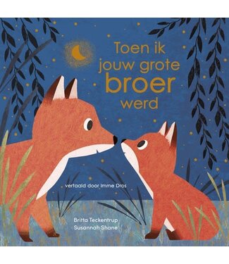 Gebroeders Simon Boek - Toen ik jouw grote broer werd