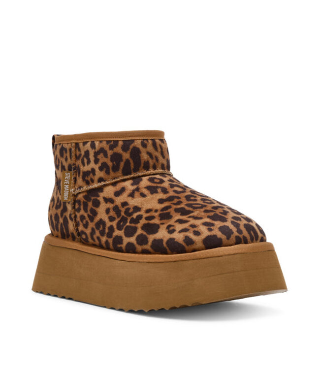 Steve Madden Campfire Bootie Leopard Suede