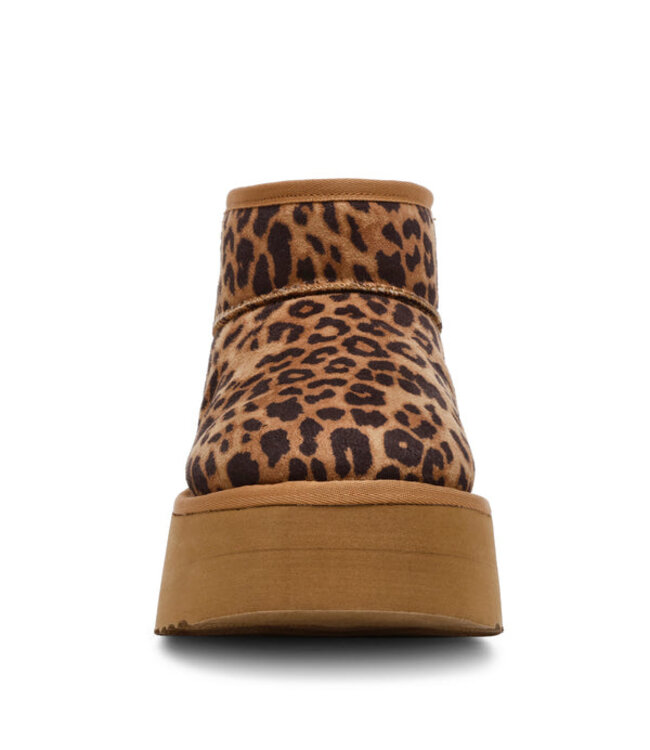 Steve Madden Campfire Bootie Leopard Suede