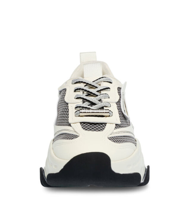 Steve Madden Possession -E-Sneaker-Black bone