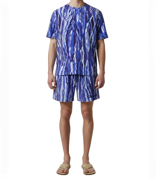 Carlo colucci Tee Multi – Purple blue white