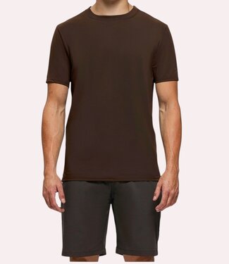 TriaD'oro Travel Tee Brown