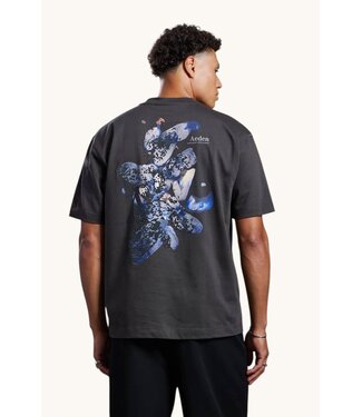 Aeden Zahir Tee Raven