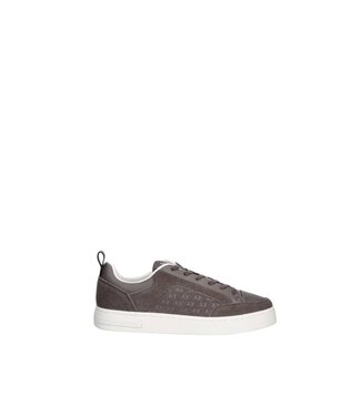 ARMANI EXCHANGE Suede logo Sneaker  Falcon grey