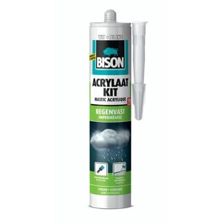 Bison Bison acrylique Kit Résistant à la pluie 300 ml blanc