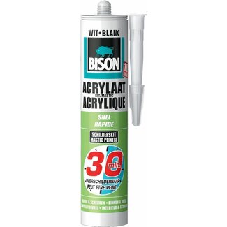 Bison Bison Acrylaatkit Snel 30min 300ml Wit