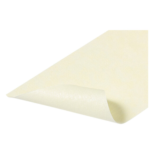 Duck Masking Tape 48mm x 50m