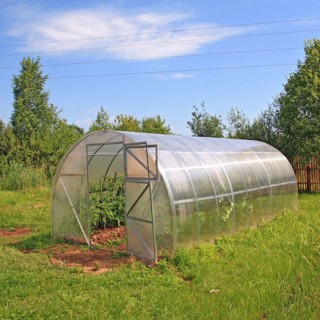 HPX Allwetterband 48 mm x 5 m Transparent