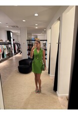 Elisabetta Franchi Kort kleedje E Franchi aloé