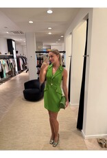 Elisabetta Franchi Kort kleedje E Franchi aloé