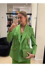 Elisabetta Franchi Klein tasje E Franchi aloe + ketting