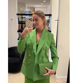 Elisabetta Franchi Klein tasje E Franchi aloe + ketting