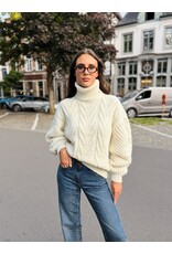 Elisabetta Franchi Dikke rolkraagtrui met kabel E Franchi